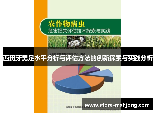 西班牙男足水平分析与评估方法的创新探索与实践分析
