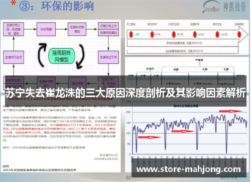 苏宁失去崔龙洙的三大原因深度剖析及其影响因素解析